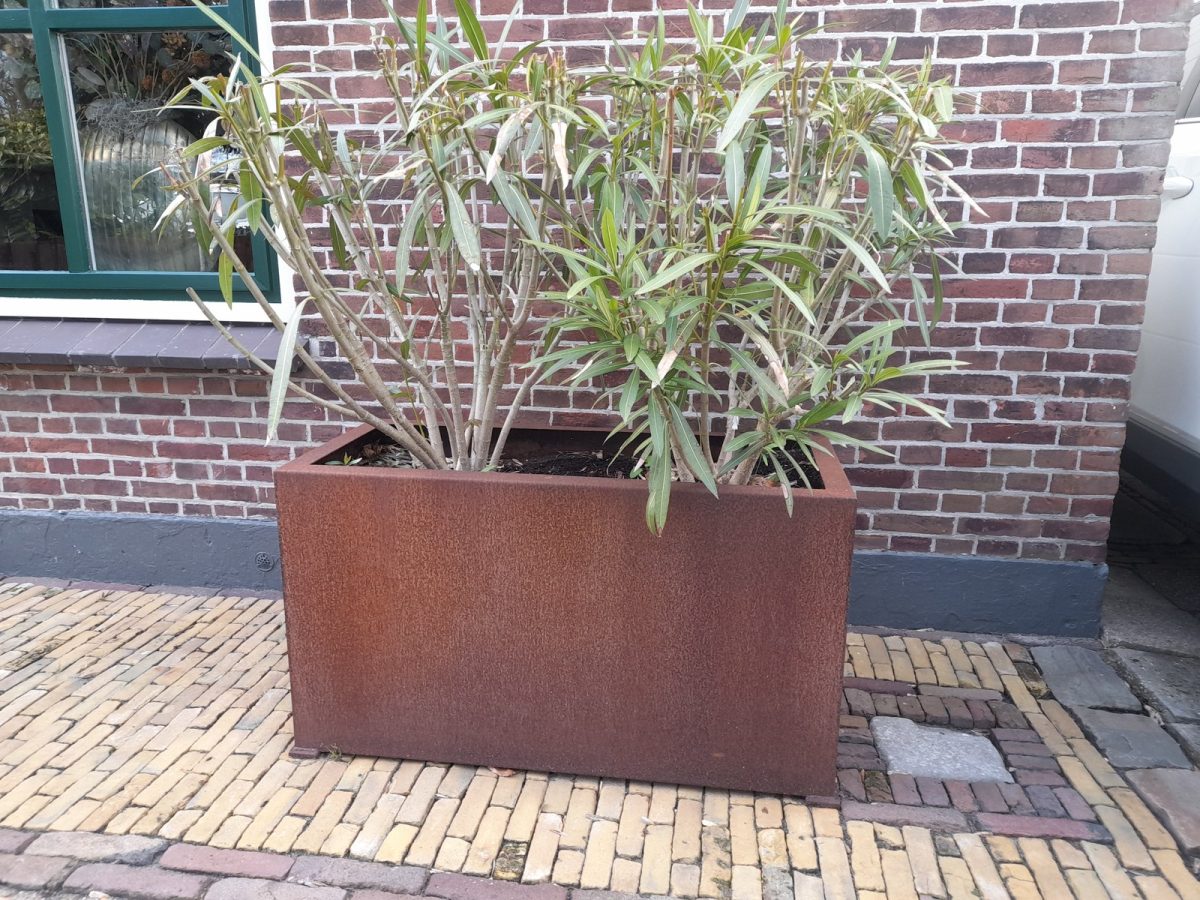 Rechthoekige cortenstalen plantenbak met beplanting voor een bakstenen gevel